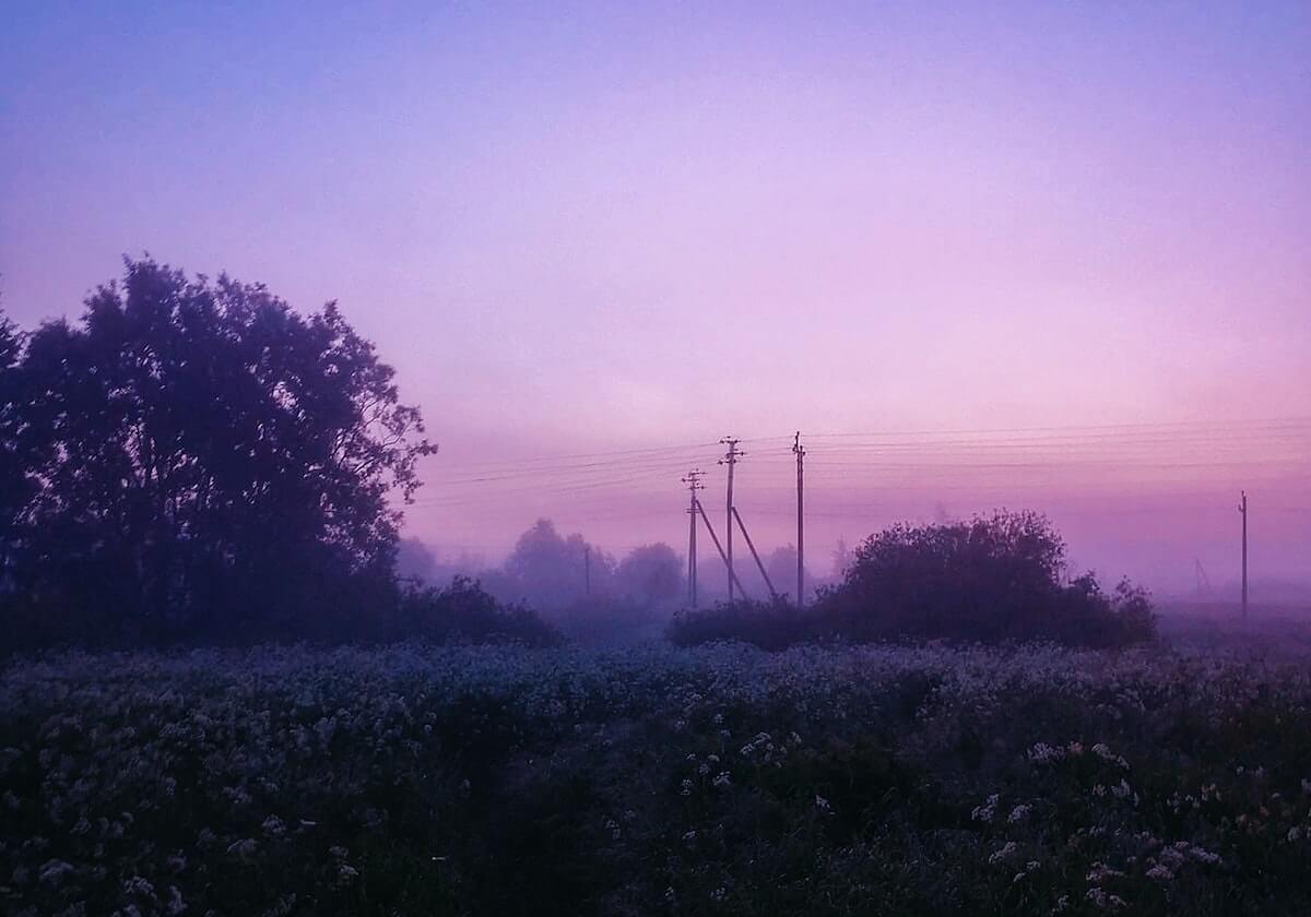 乐鱼在线服务：开启你的高效生活新篇章